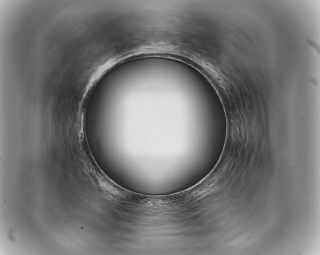 X0000098101366200804181413