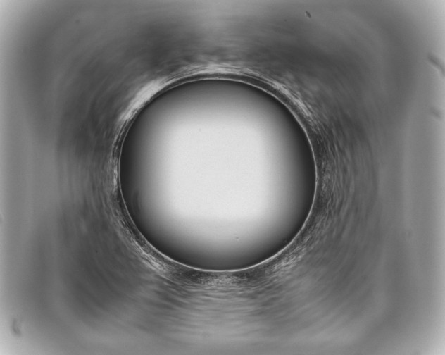 X0000098101367200804181413