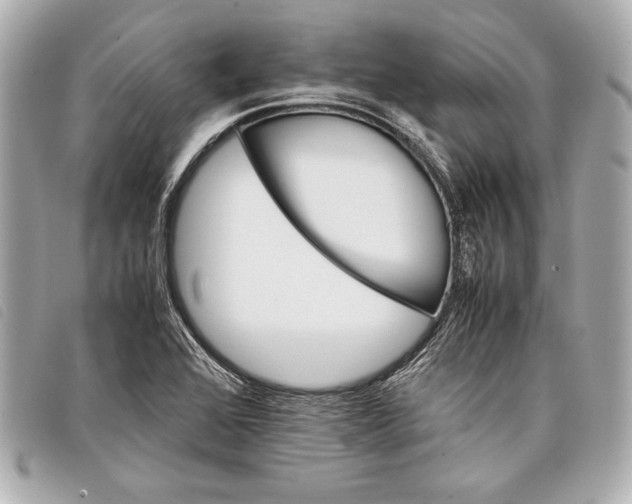 X0000098101368200804181413