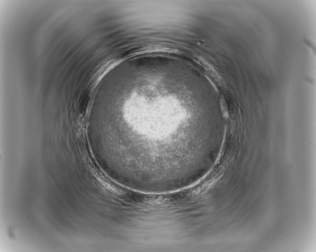 X0000098101369200804181413