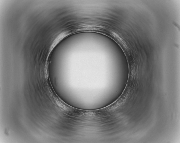 X0000098101370200804181413
