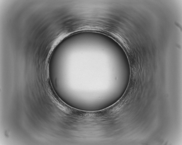 X0000098101371200804181413