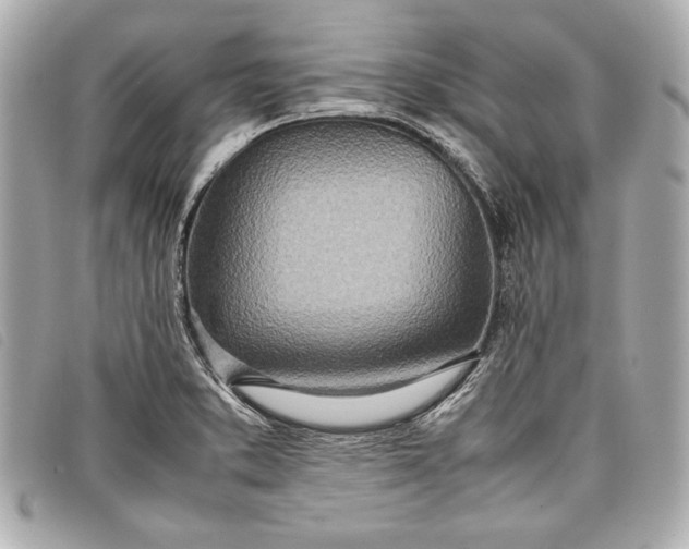 X0000098101373200804181413