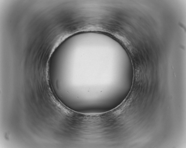 X0000098101374200804181413