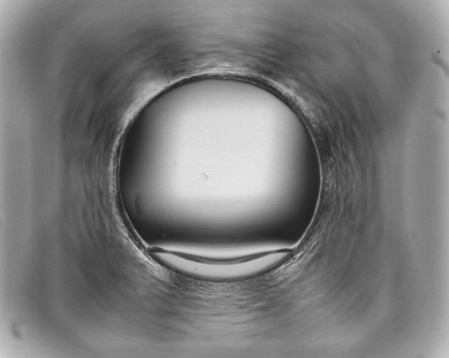 X0000098101375200804181413