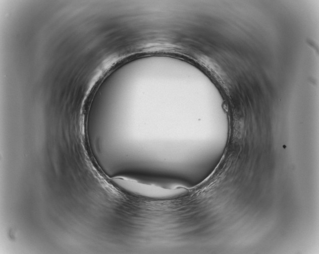 X0000098101376200804181413