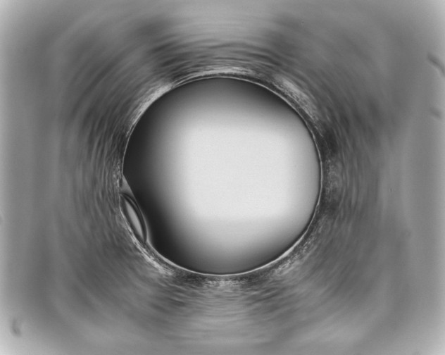 X0000098101377200804181413