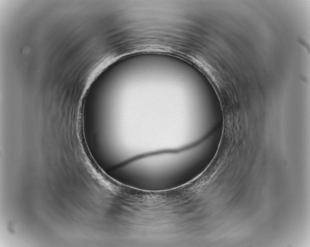 X0000098101379200804181413