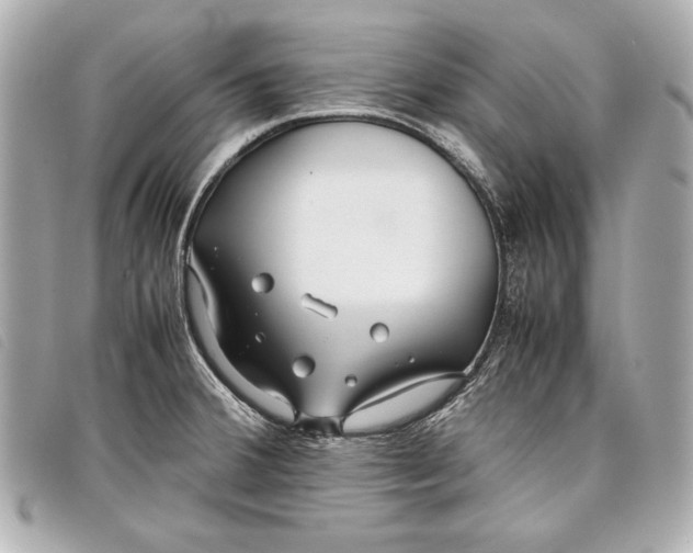 X0000098101380200804181413