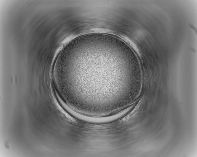 X0000098101381200804181413