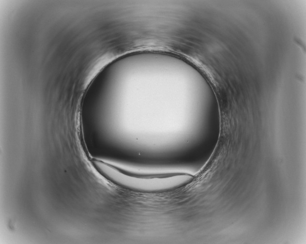 X0000098101383200804181413