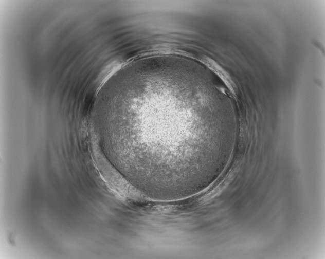 X0000098101385200804181413