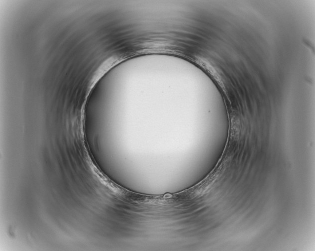 X0000098101386200804181413