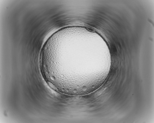 X0000098101387200804181413