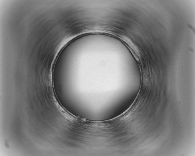 X0000098101388200804181413