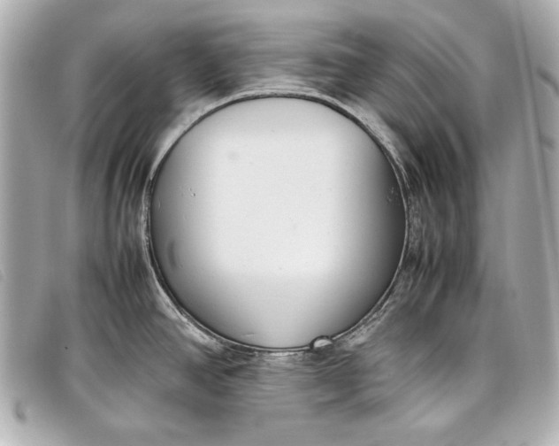 X0000098101390200804181413