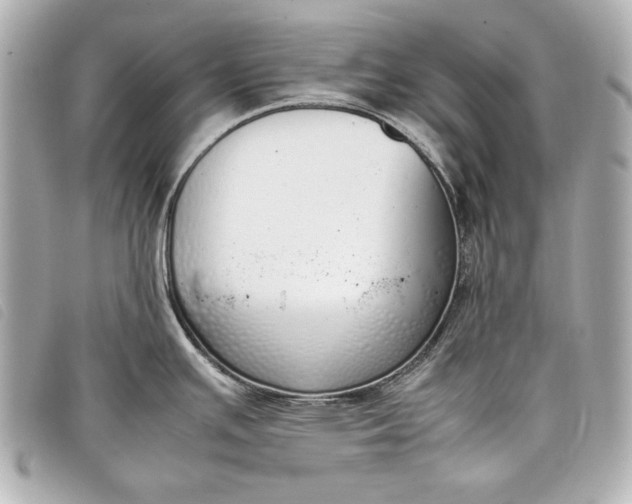 X0000098101391200804181413