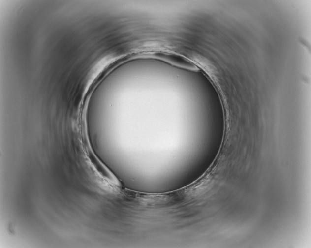 X0000098101392200804181413