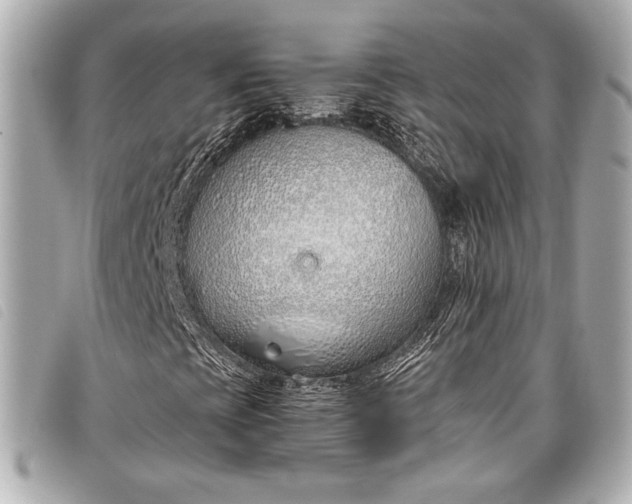 X0000098101393200804181412
