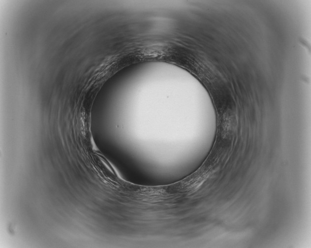 X0000098101394200804181412