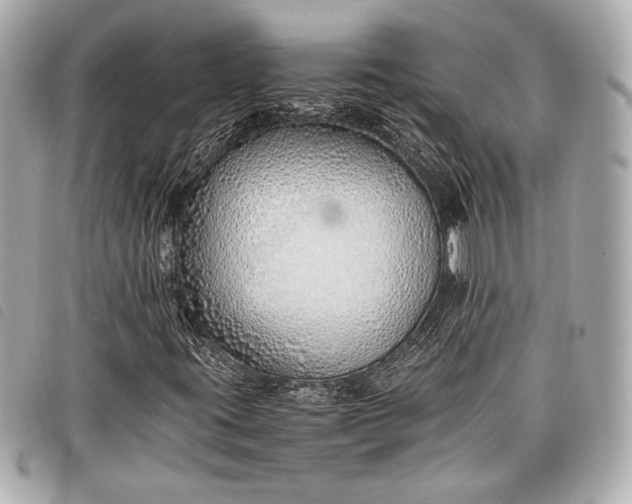 X0000098101395200804181412
