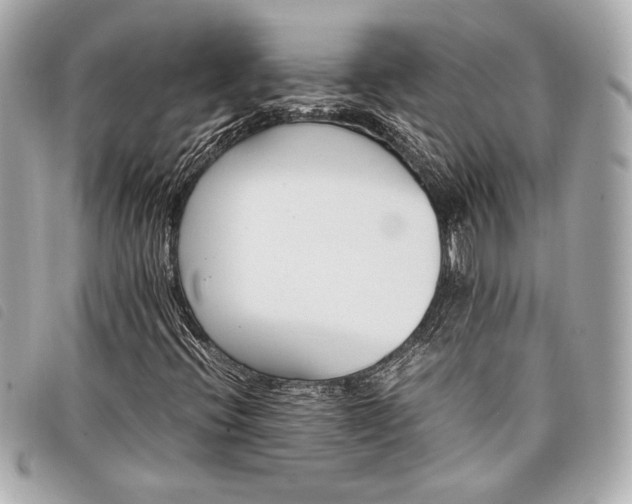 X0000098101396200804181412