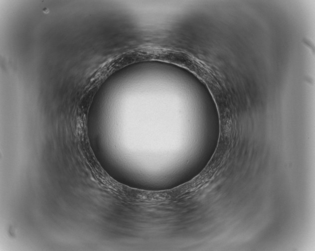 X0000098101397200804181412