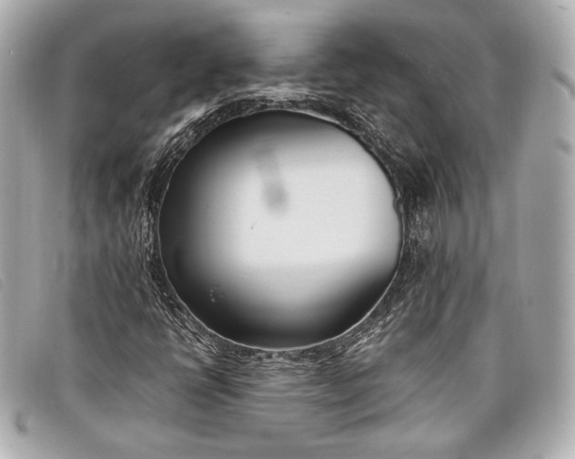 X0000098101398200804181412