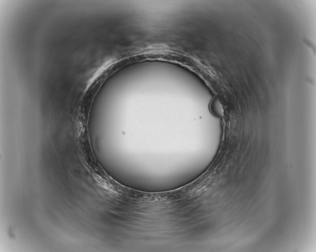 X0000098101400200804181412