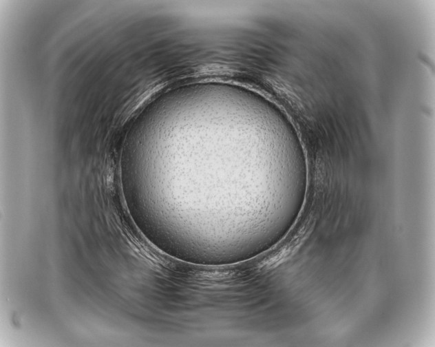 X0000098101401200804181412