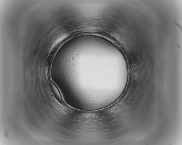 X0000098101402200804181412