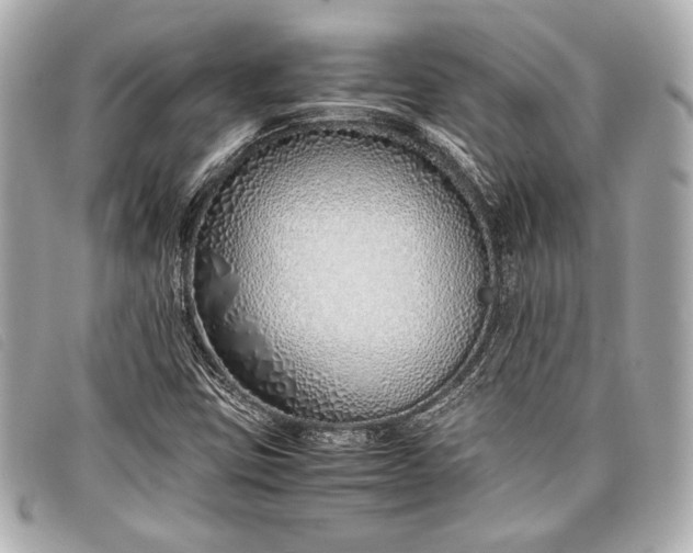 X0000098101403200804181412