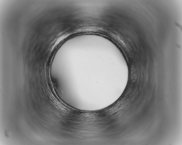 X0000098101404200804181412