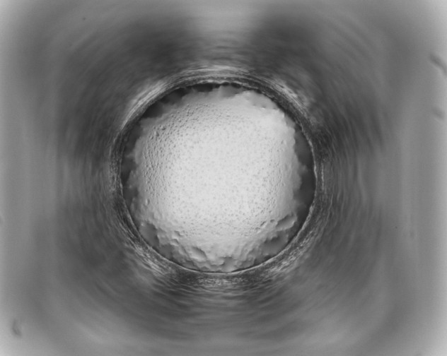 X0000098101405200804181412