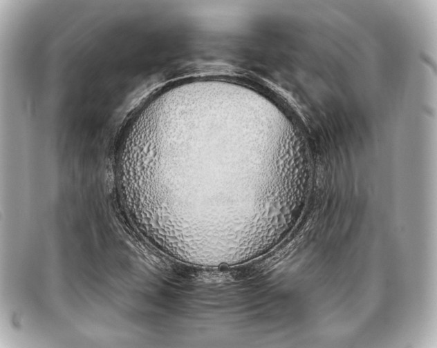 X0000098101407200804181412