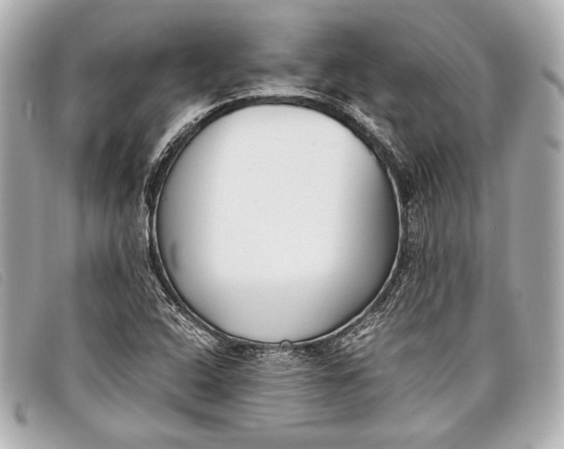 X0000098101408200804181412