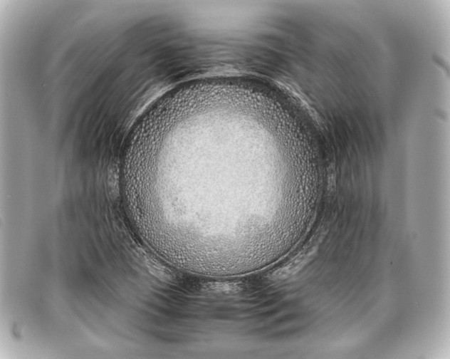 X0000098101409200804181412