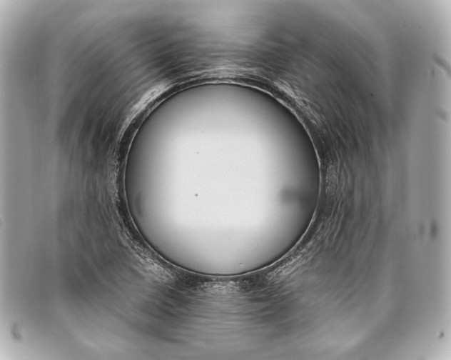 X0000098101410200804181412