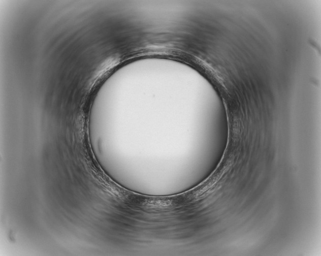 X0000098101411200804181412