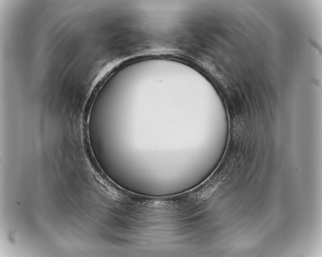 X0000098101412200804181412
