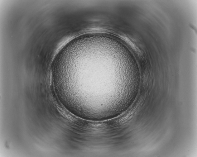 X0000098101413200804181412