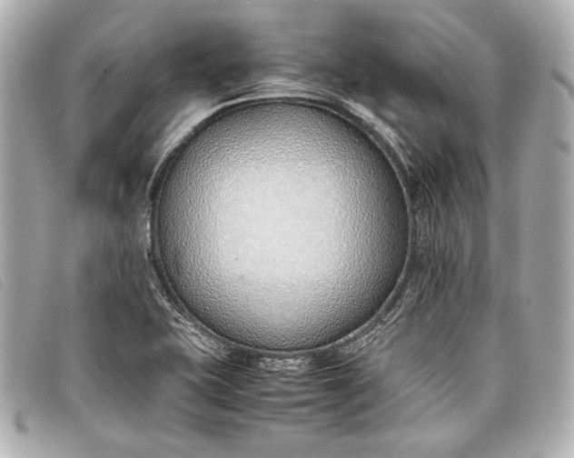 X0000098101415200804181412