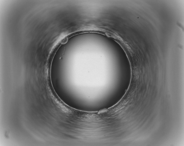 X0000098101416200804181412