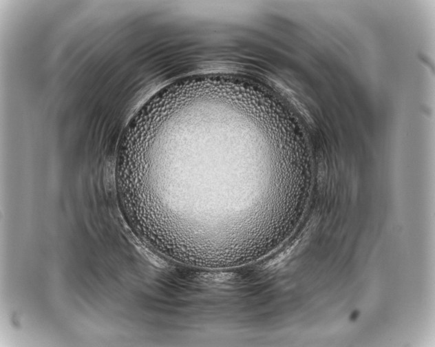 X0000098101417200804181412