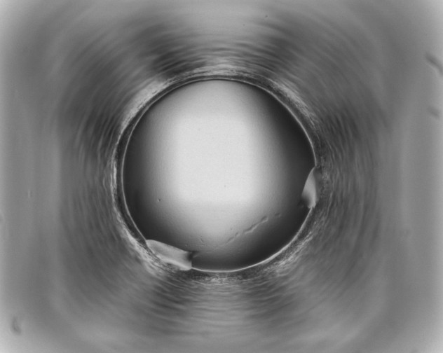X0000098101418200804181412