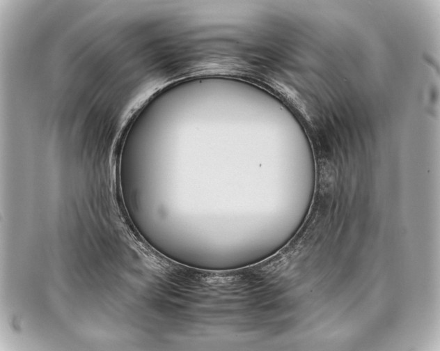 X0000098101419200804181412