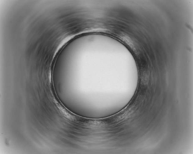 X0000098101420200804181412