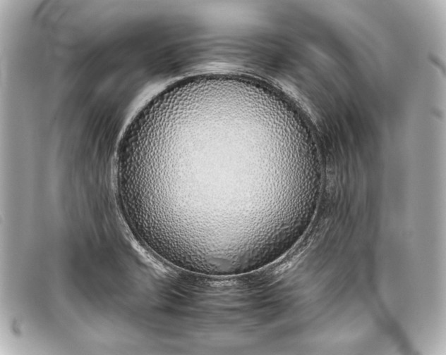 X0000098101421200804181412