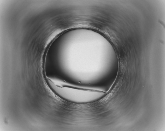 X0000098101422200804181412