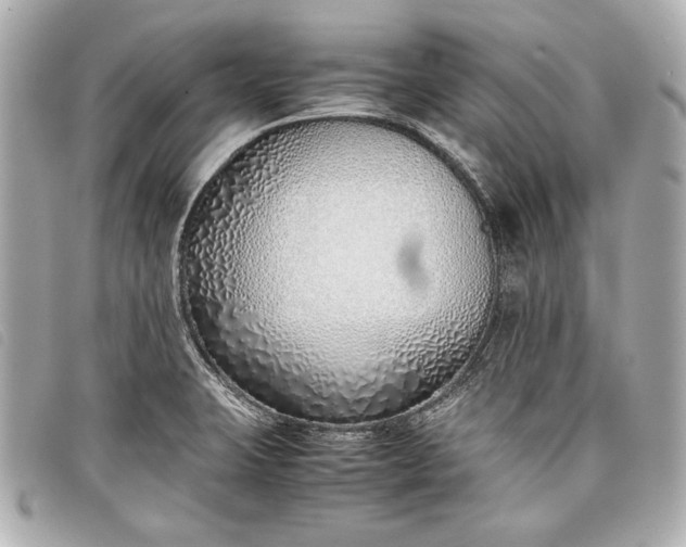 X0000098101423200804181412
